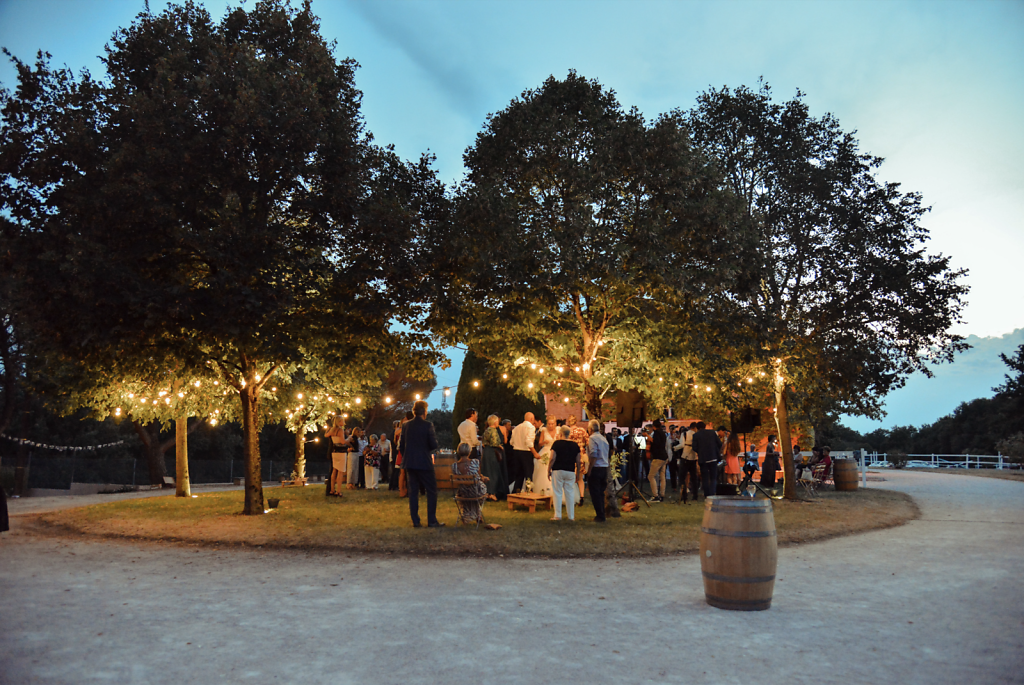 mariage-photo-toulouse-chateau-lartus-ambiance.png