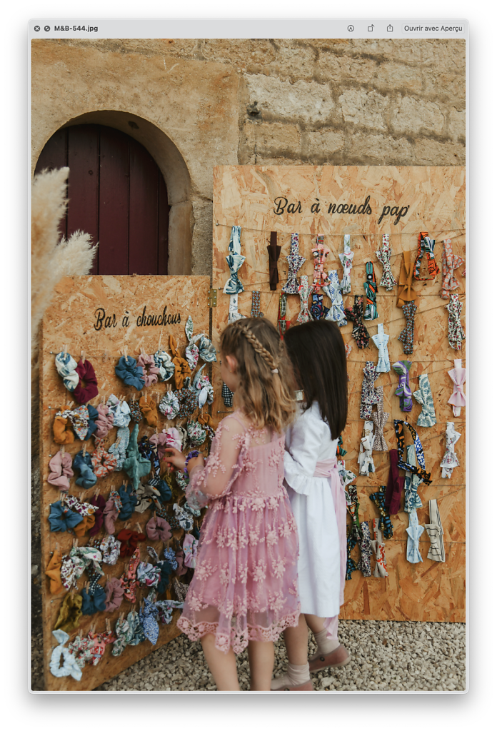 mariage-photographie-toulouse-invite.png